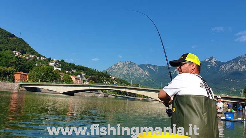 Pescare le Savette a Pane - FishingDays, LIVE