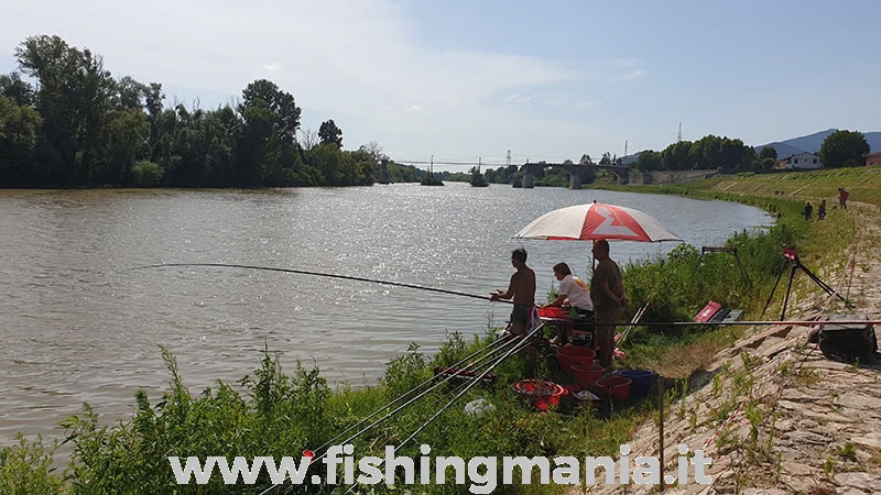 Pesca nell'Arno pisano con Milo
