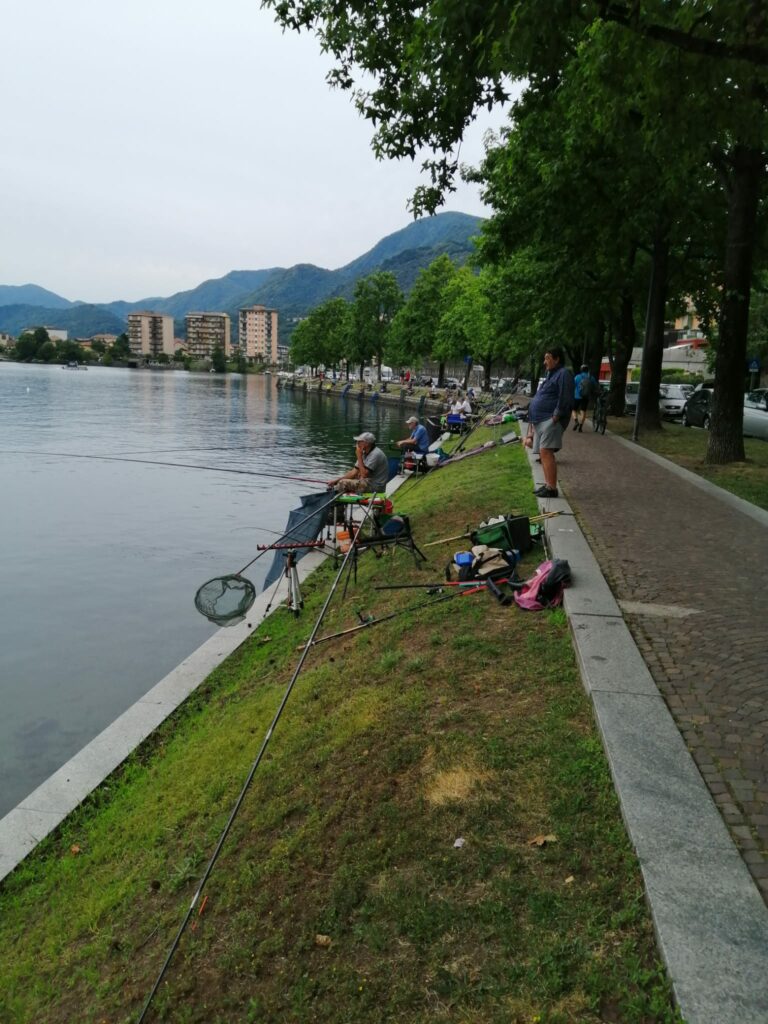 3° prova campionato provinciale di pesca al colpo Novara e Verbania