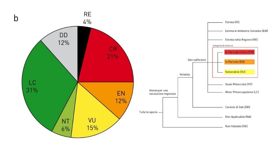 Grafico situazione specie di pesci in Italia