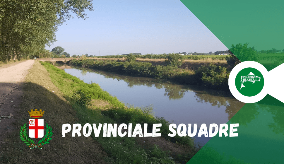 Provinciale Squadre Milano a Revere