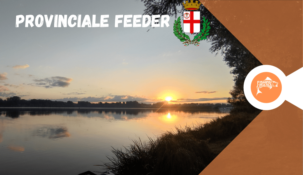 Provinciale Feeder Mantova 2022