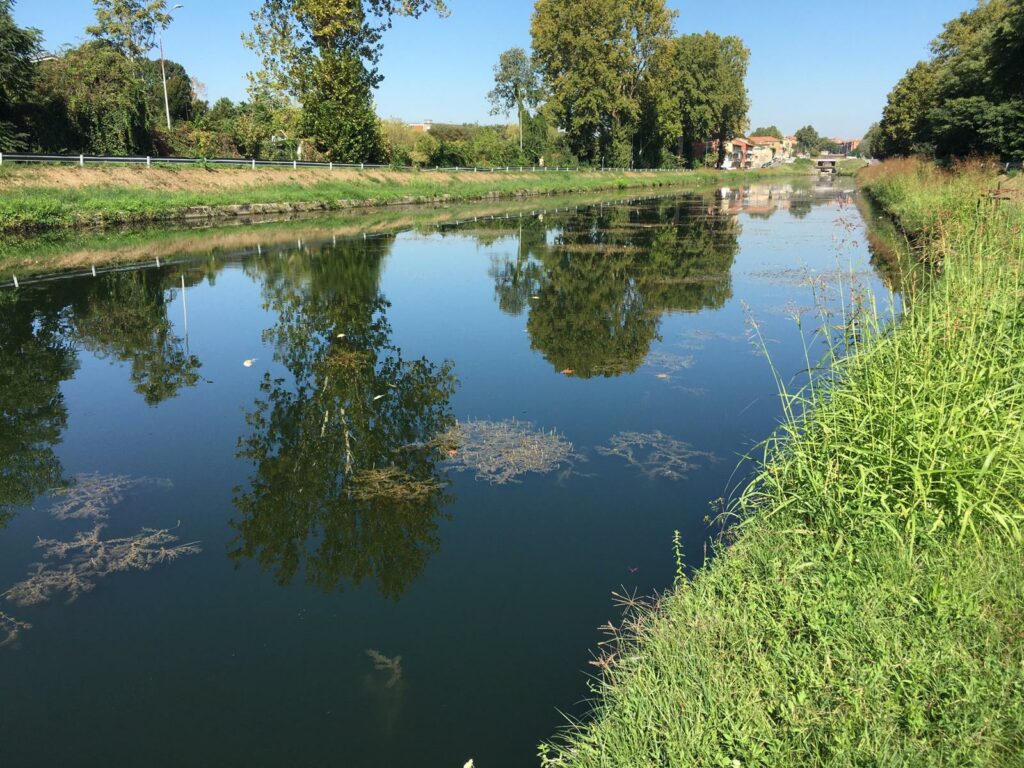 Moria di Pesce in Naviglio