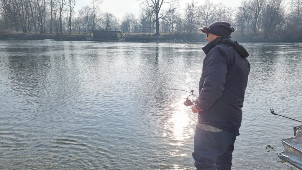 Canne da Barbo in FIume