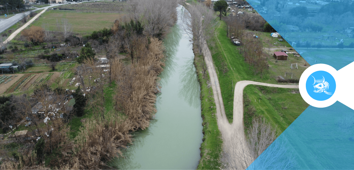 Campionato Primavera pesca al colpo in Elsa 2024