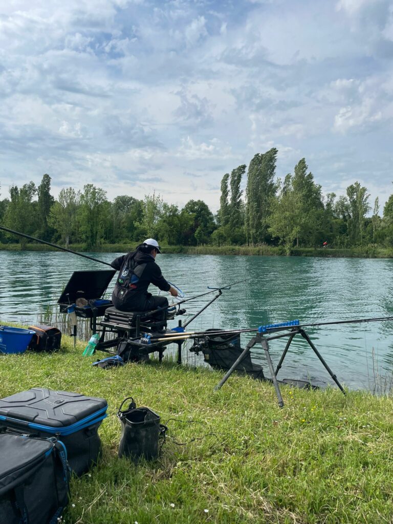 Il Mincio a Peschiera a Feeder