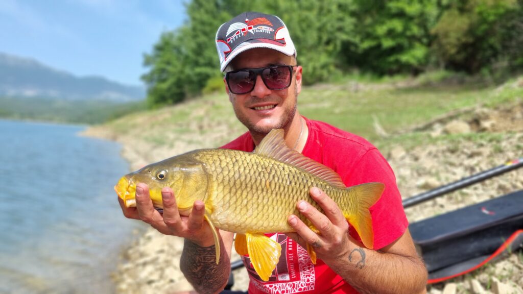 Carpa della Diga Alento