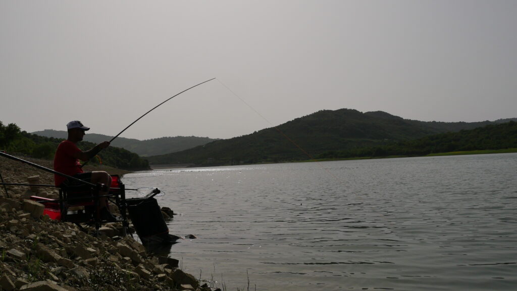 Pesca in Roubaisienne in Diga Alento